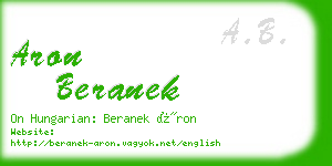 aron beranek business card